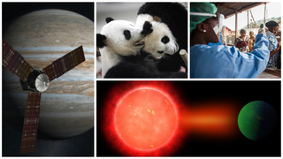 2016 no fue solo malas noticias: 7 cosas fantásticas que ocurrieron este año<em></em>